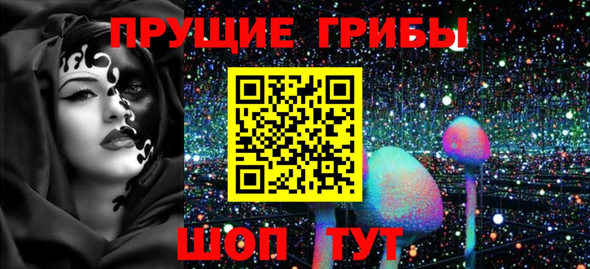 Галлюциногенные грибы Cubensis  Псилоцибиновые грибы Psilocybine cubensis  Киселёвск  Вход с VPN 